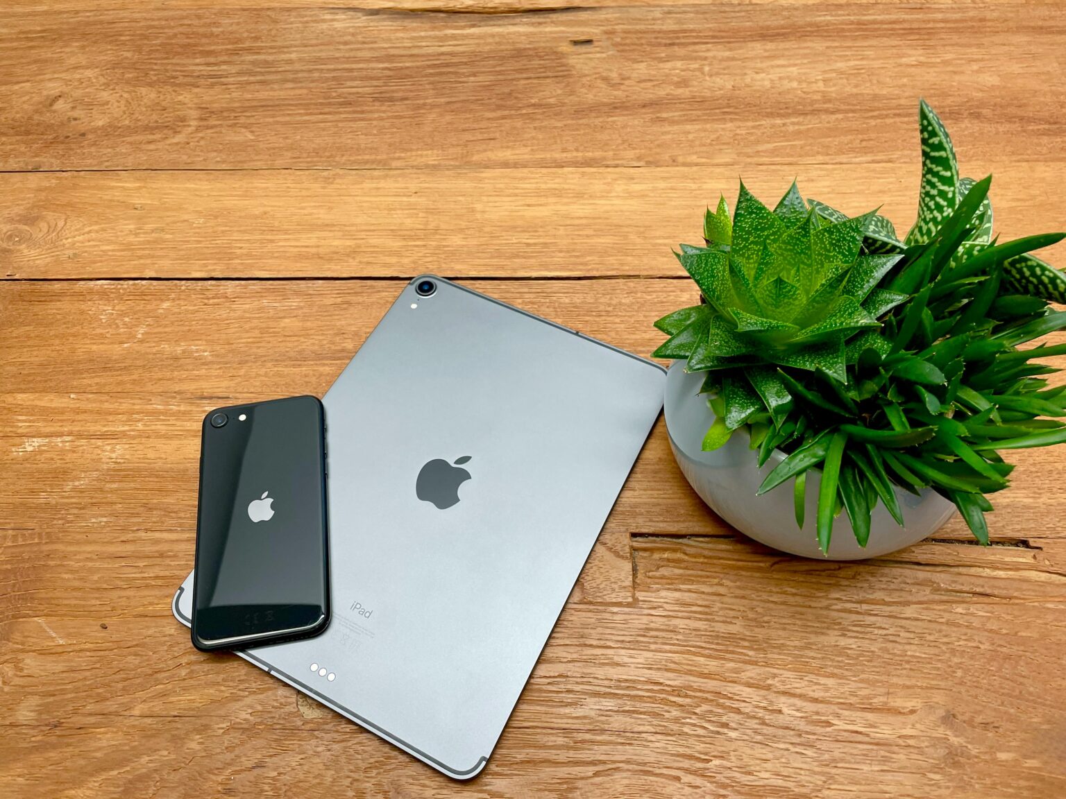 apple