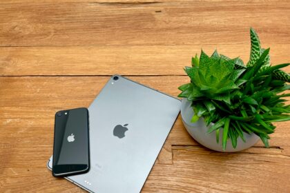 apple